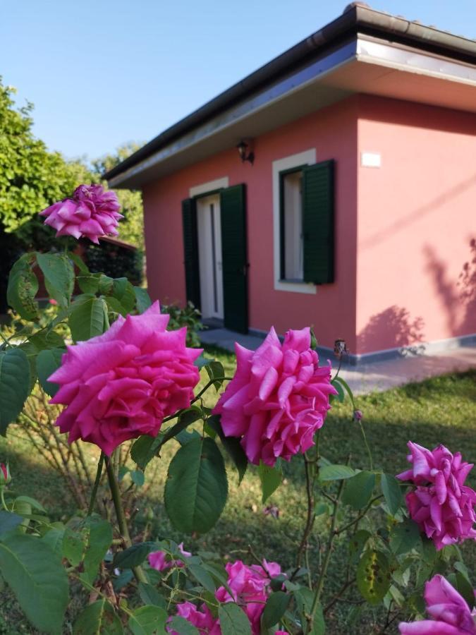 La Casina Villa Barga Bagian luar foto